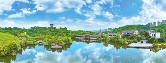 泸州张坝桂圆林旅游区. (泸州市委对外宣传办公室供图)