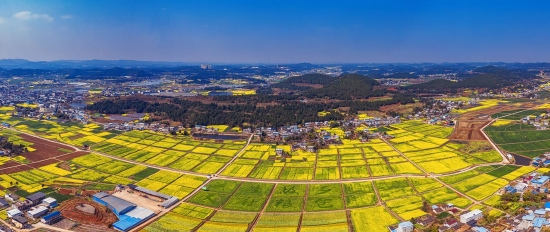 德阳中江县现代农业粮食生产示范基地。（德阳市委宣传部供图）