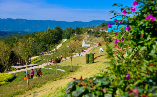 广元昭化:大力发展旅游业 绘就乡村振兴美丽画卷