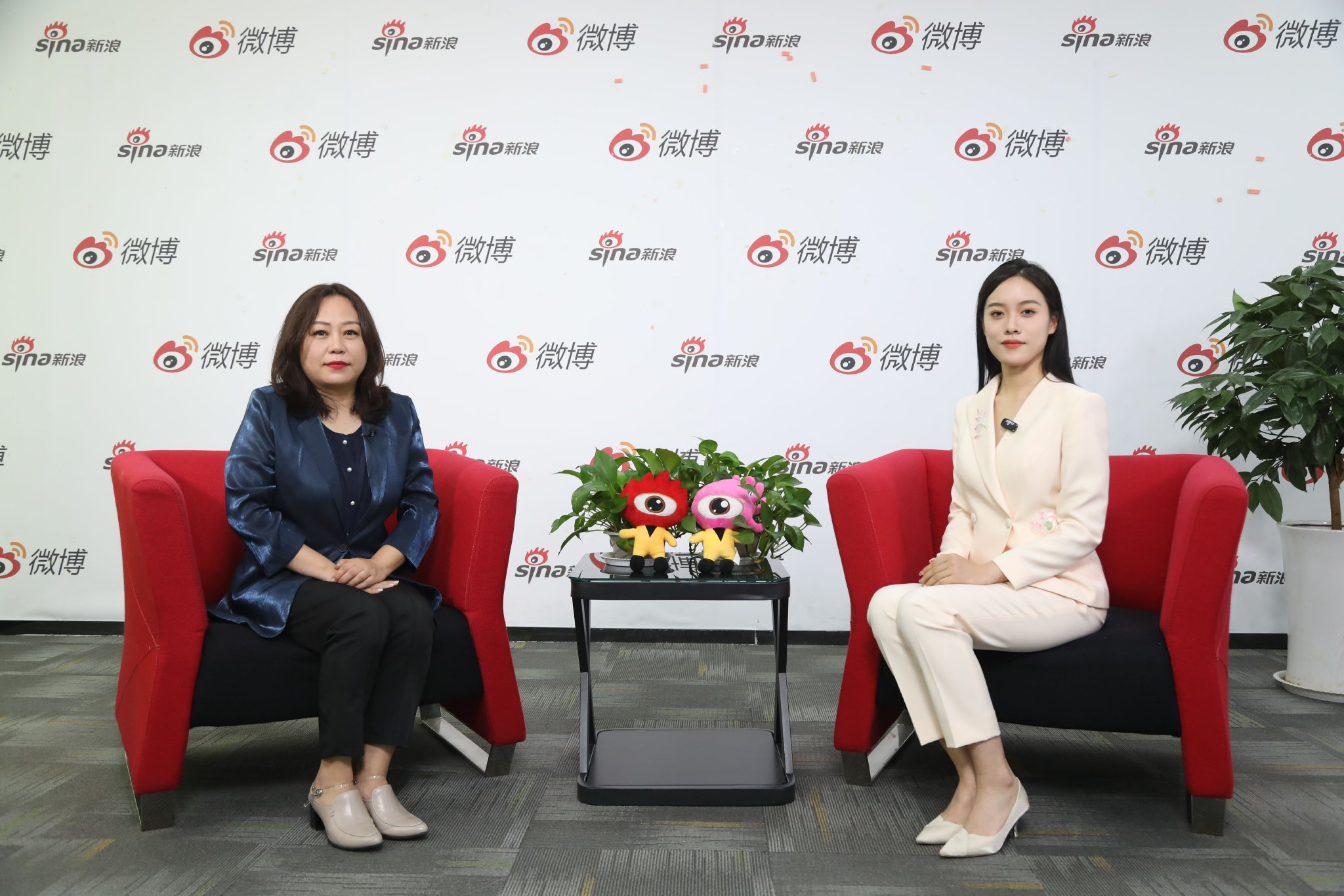 2023新浪山东《招办面对面》系列访谈——山东理工大学