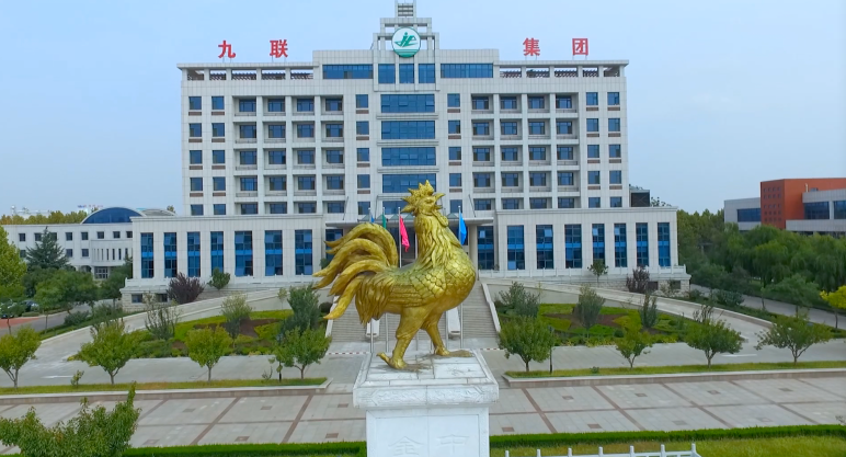 青岛九联集团股份有限公司作为莱西当地的"龙头"畜牧企业,从上世纪九