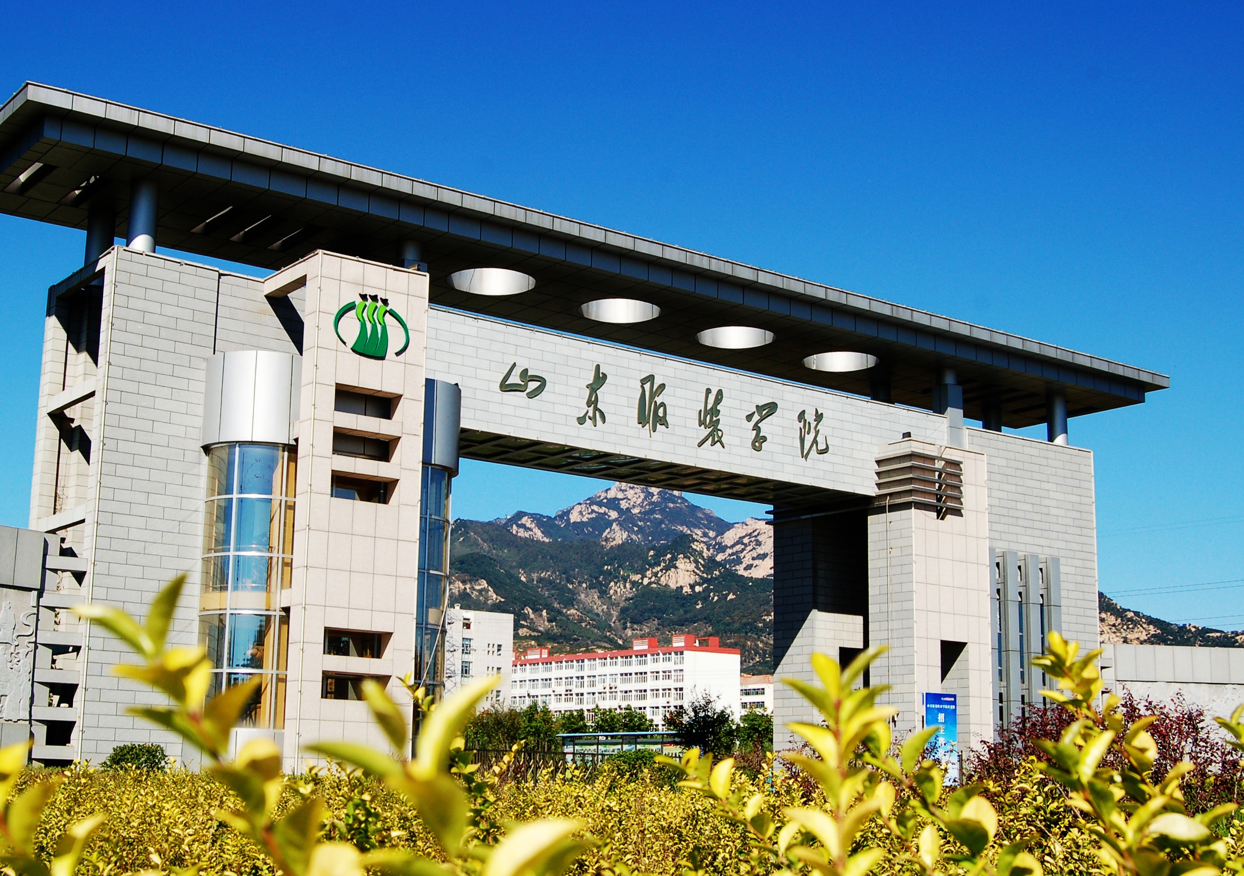 2018年度山东教育盛典