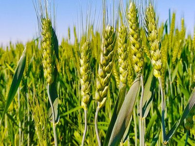 战疫情，市交易中心创新开展异地评标保障县区项目顺利实施