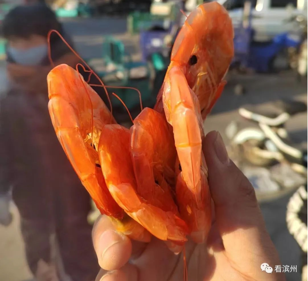 滨州这大集又火了！外地人也纷纷来此购置年货！ 