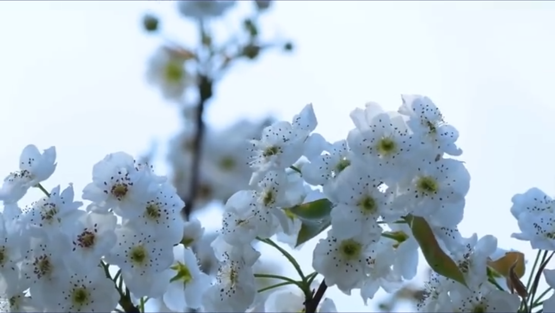 快来阳信，和小编一起寻找春天的美景吧！