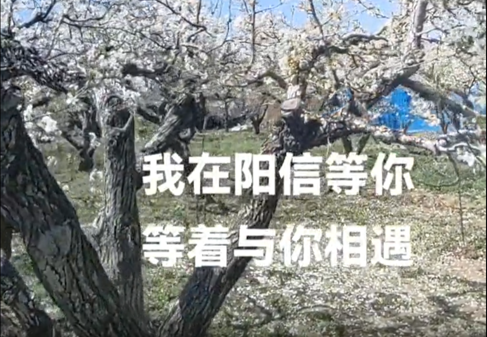 聆听大自然 我在阳信等你，等着与你相遇……