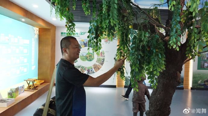 沾化冬枣发展这么好的关键在哪里？