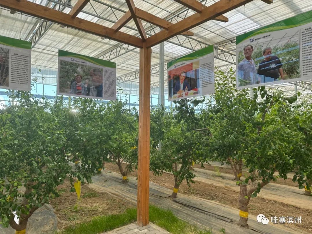 “V行滨州·走进沾化” 带你感受沾化的魅力