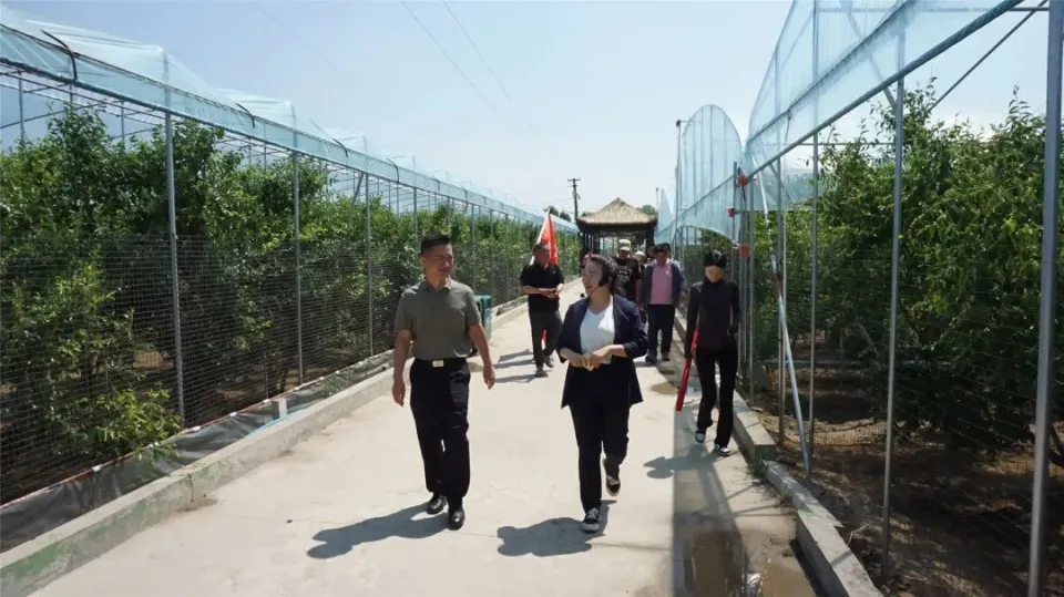 2023年“V”行滨州·走进“沾化枣花节”采风活动成功举办