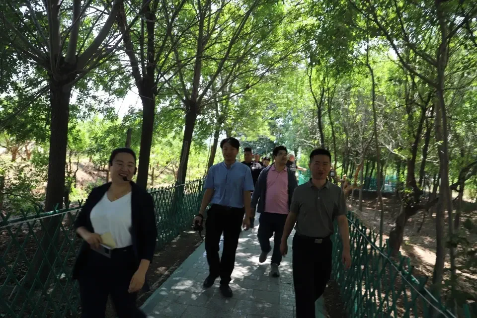 很多人吃过沾化冬枣，但未必到过4A级的沾化冬枣生态旅游区