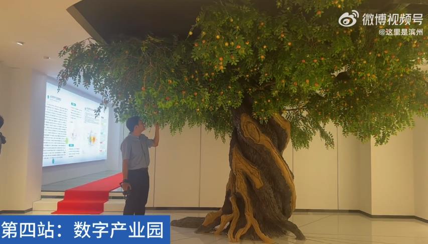 2023年“V”行滨州·走进“沾化枣花节”采风活动第四站——参观沾化区下洼镇数字经济产业园 