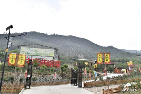 泰山西麓,群山绿树映衬中有一座安定夸姣的小村庄——泰安市岱岳区道朗镇