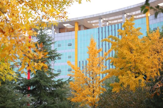 山东现代学院觅得秋意寻秋思