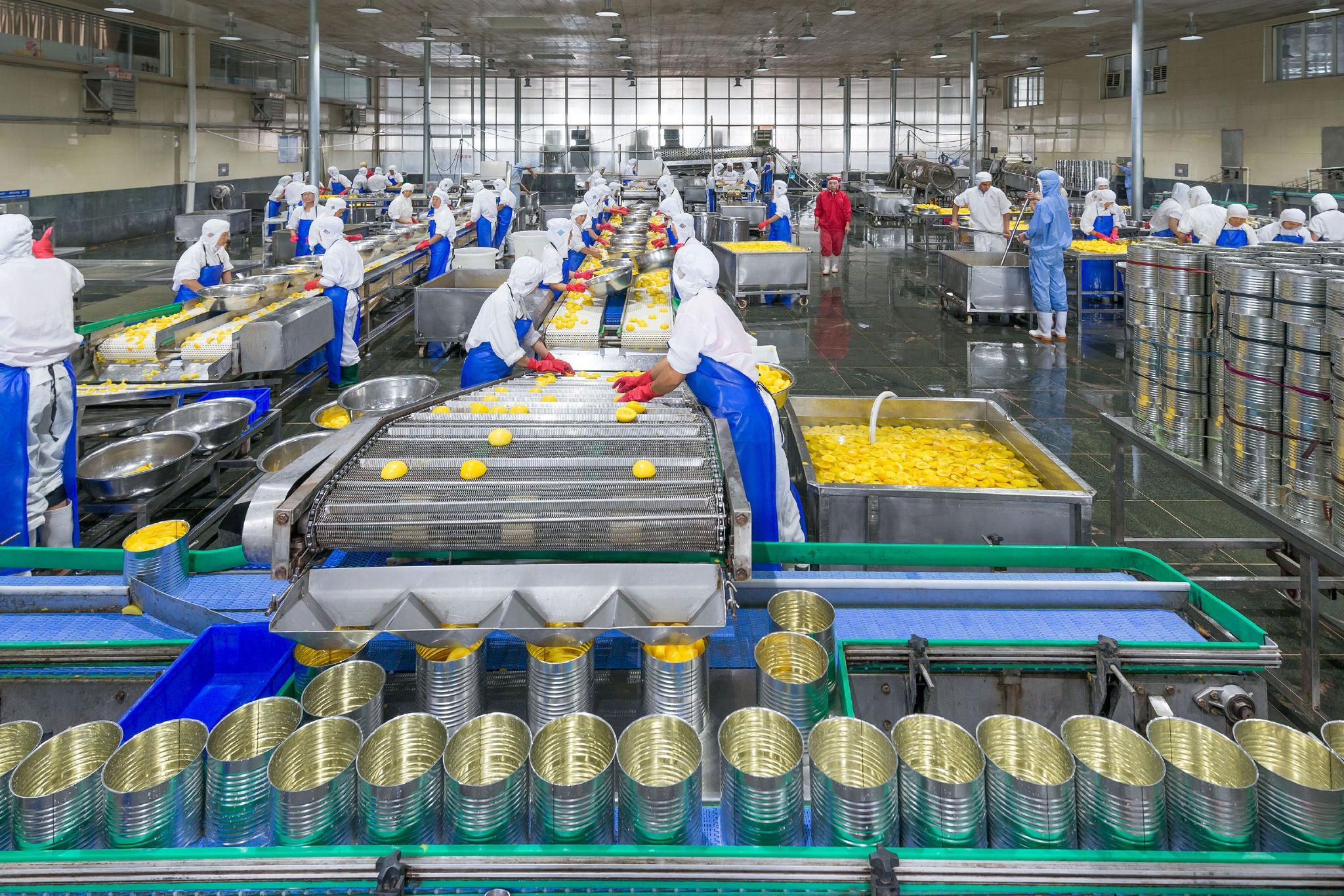 地方镇的一个国际质量标准生产罐头车间.山东省平邑县地方镇供图