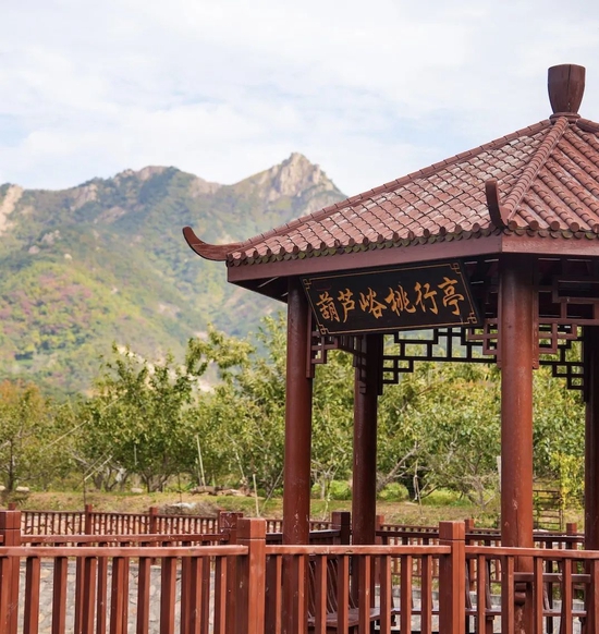 艺术 潮流运动,"网红山色峪"解锁乡村振兴新路径_城市_财经观察_新浪