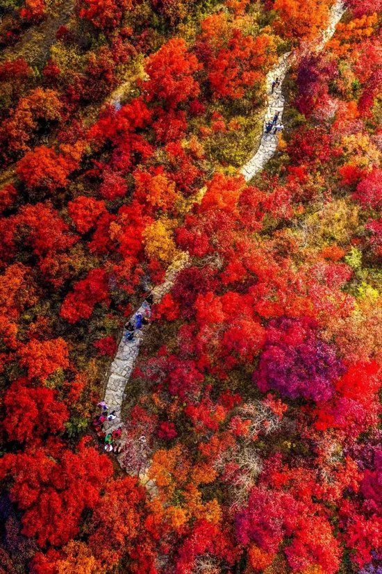 来源:山东文旅红叶柿岩旅游区