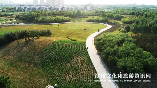 喜鹊湖公园内植被丰富,地形高低起伏,错落有致