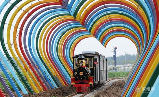 在黄河岸边,一辆观光小火车穿过七彩爱情隧道