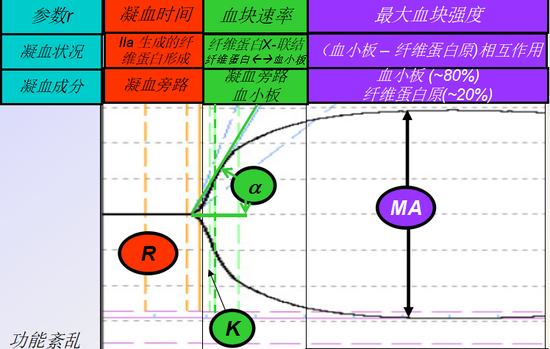 新技术新项目宁津县人民医院重症医学科成功引进血栓弹力图床旁检测