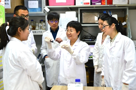 段巧红团队揭示被子植物受精过程关键机制