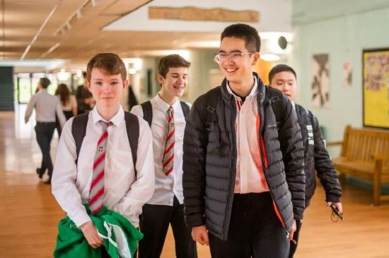 英国公立学校插班 / 中英学伴体系 / 文化深度游学
