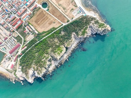 (图片来源:烟台文旅微信公众号)