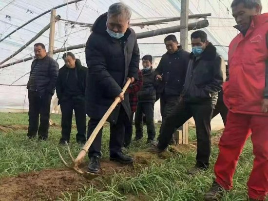 农学专家徐会连教授指导农户们种植韭菜
