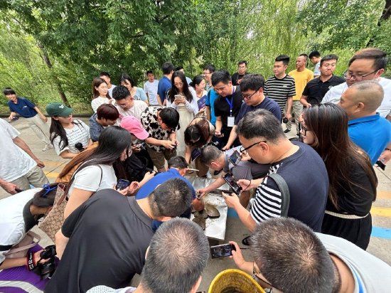图:大V们在水语小镇体验“开蚌取珠”