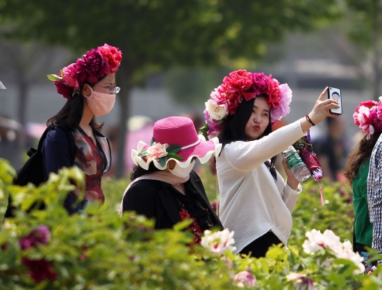 （菏泽市中国牡丹园游客观赏牡丹。图片来源：刘心中《花开时节》）
