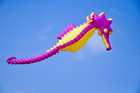 海马软体风筝