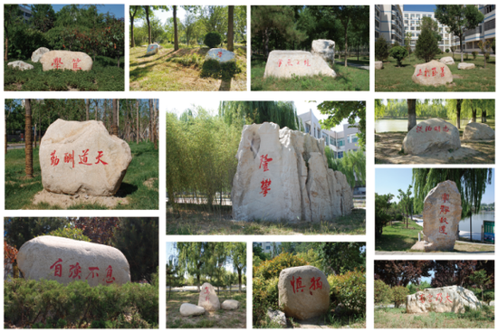 聊城大学"石刻文化"助力人文校园建设