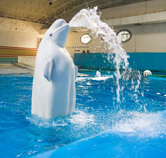 蓬莱欧乐堡水上世界7月18日开园 开启八仙过海度假区暑期狂欢潮_新浪