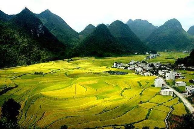 山东平原:"一星四化"构建乡村治理新模式