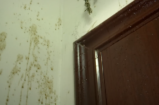 给差评后，芝罘一女子疑似遭上门报复！