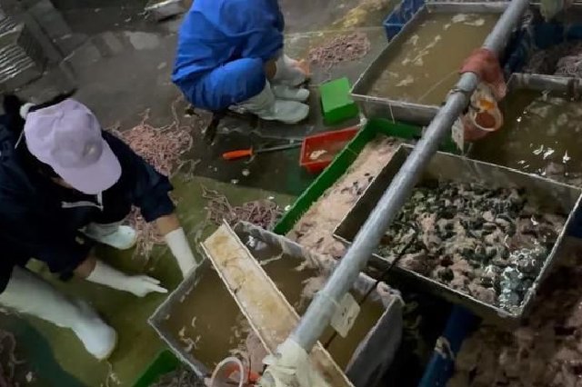 曝光鴨腸工廠后，涉事企業給記者打電話稱“先別發出去，影響