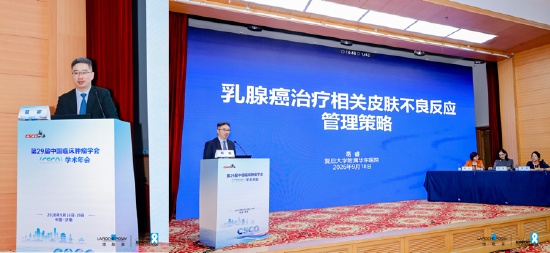 图：葛睿教授发言