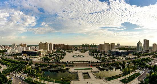 菏泽巨野县:花开盛世,鲜活自然来