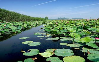 便民更惠民！济宁市全域旅游年卡购买攻略出炉