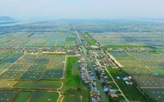 数字赋能全程监管！济宁汶上县累计处置低效闲置地块110余亩