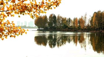 泰安市新泰，层林尽染映湖光