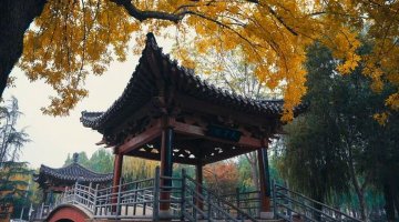 济宁初冬宝藏地！南池公园