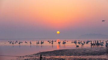 威海冬日日出奇景