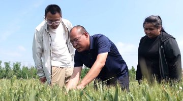 东营良种配良法盐碱地开出丰收方