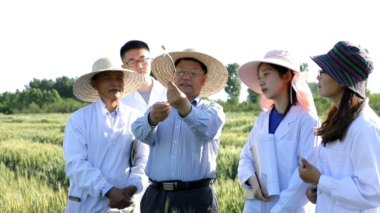 孔令让团队发现攻克小麦赤霉病世界性难题的金钥匙