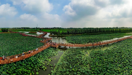(菏泽市曹县黄河故道湿地风景区。图片来源:菏泽市摄影家协会)