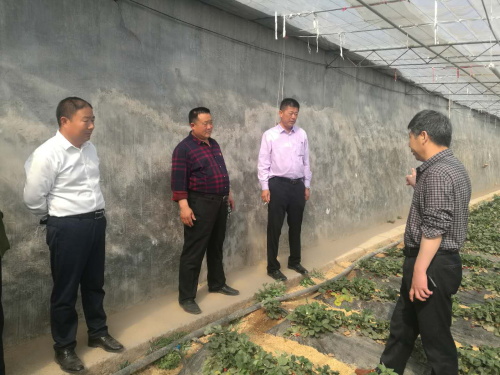 市农技中心组织帮扶村党员干部走出去学典型谋发展