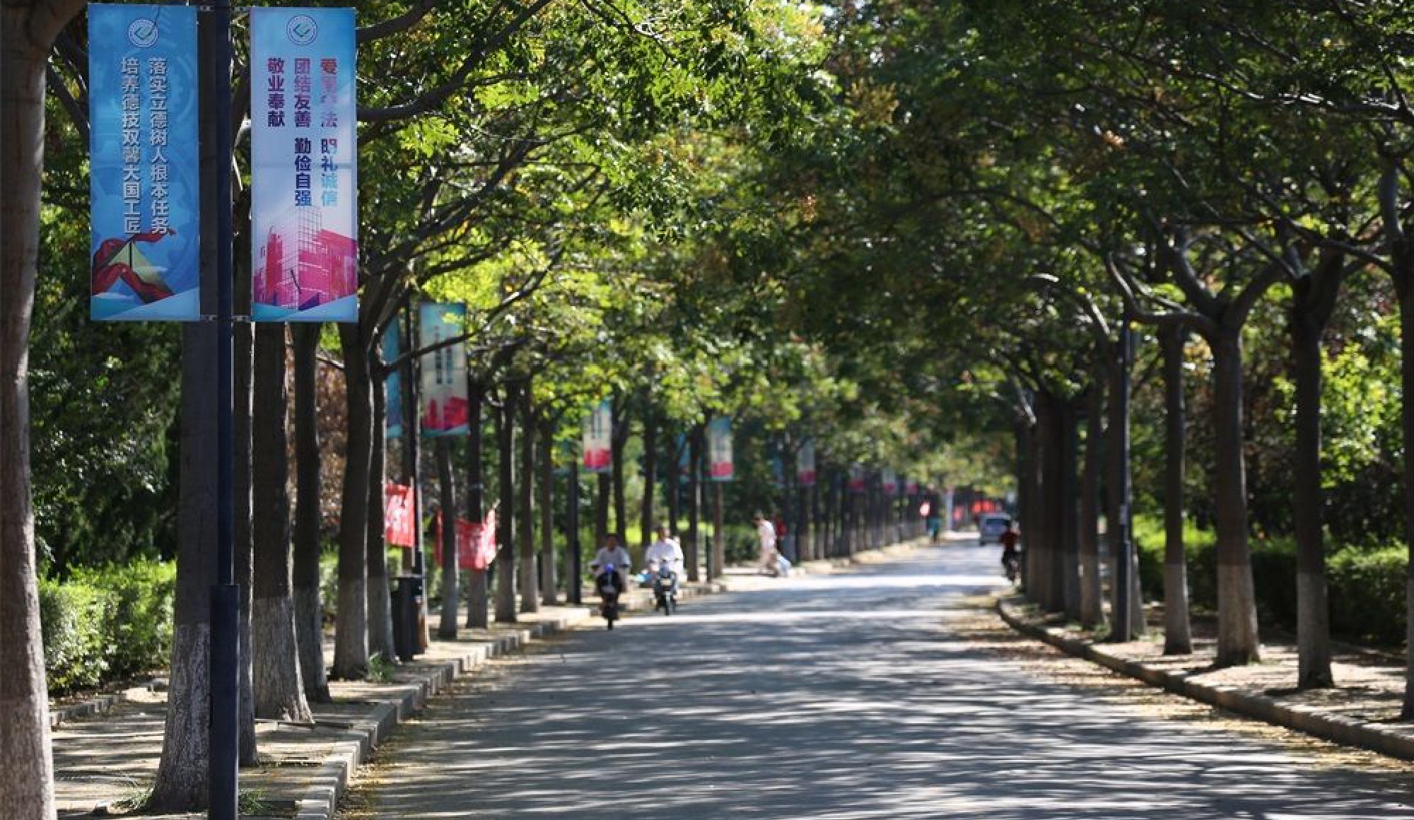 《招生面对面》系列访谈 山东劳动职业技术学院