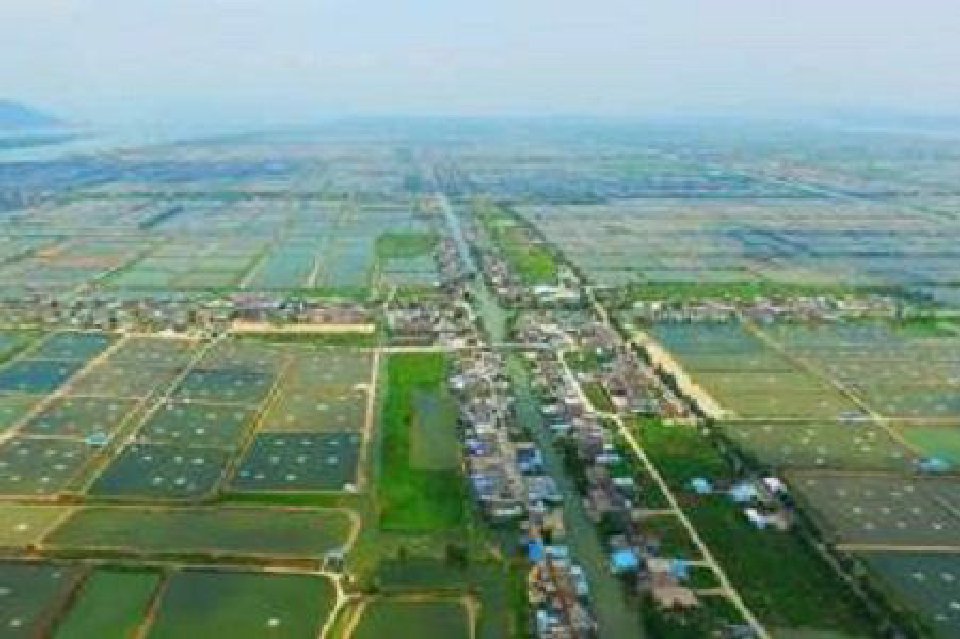 占地约169亩！济宁市主城区2宗土地挂牌出让