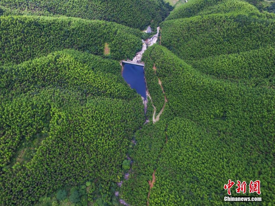 航拍千里赣江源头 瀑布飞流绿树成荫