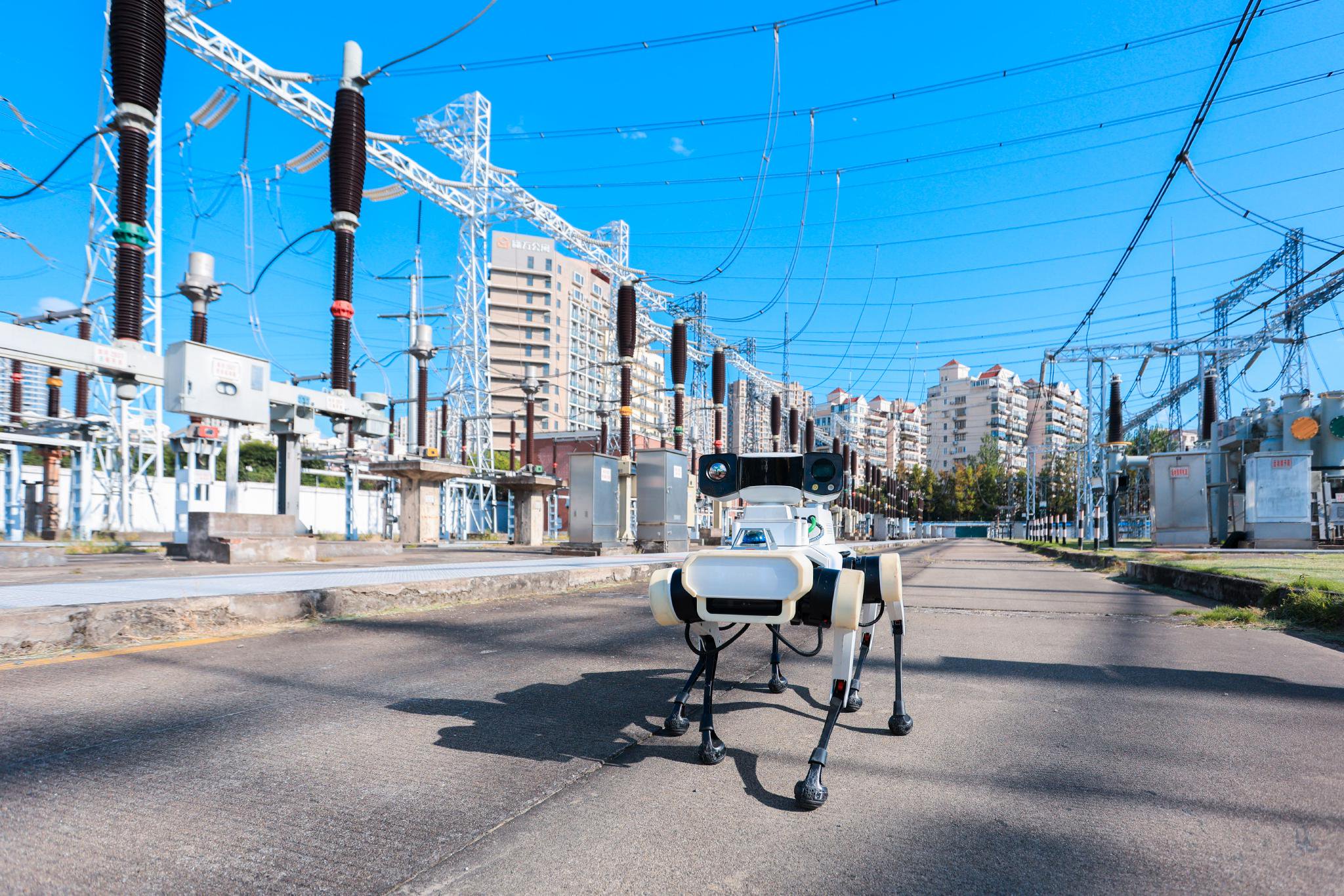 国网上海超高压公司应用“天枢”智能巡检机器狗在进博会重要保电变电站开展户外设备巡视